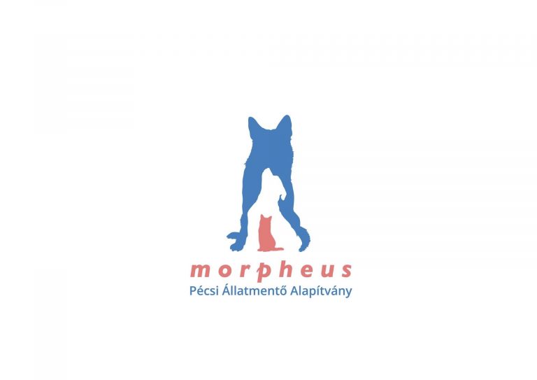 Interjú a Pécsi Morpheus Állatmentő Alapítvánnyal