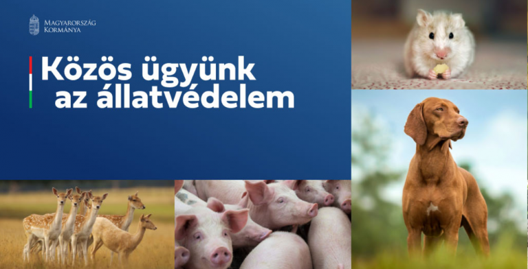 Közös ügyünk: az állatvédelem