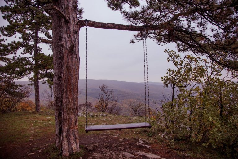 Ország gyöngye, aranya