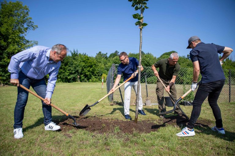 Agrárminisztérium: fejlesztik a városi és települési erdőket