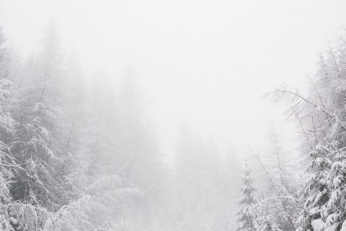 pexels-photo-773953