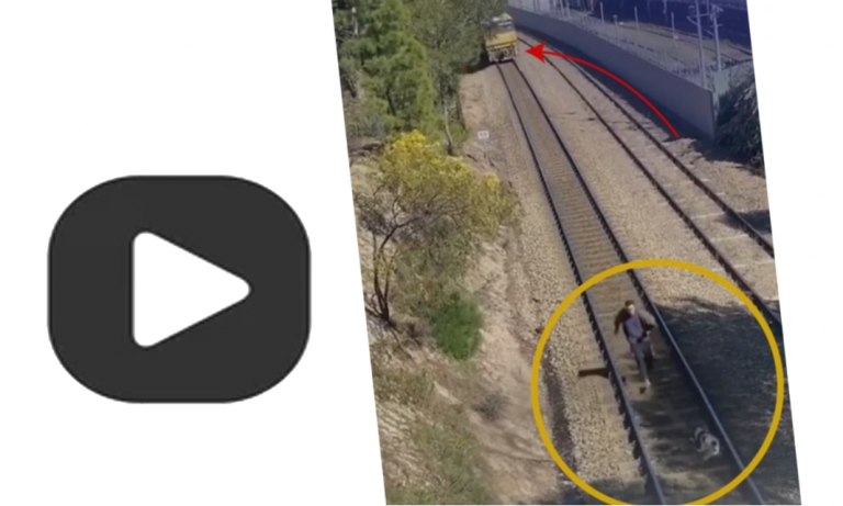 Hajmeresztő bátorsággal mentette meg a sínre kötözött kutyát – videó