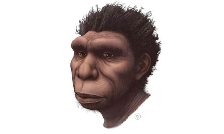 Megtalálták a Homo sapiens közvetlen elődjét!