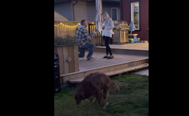 Tucker felejthetetlenné tette a lánykérést