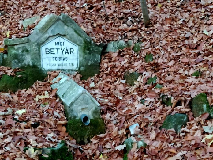 Betyár forrás