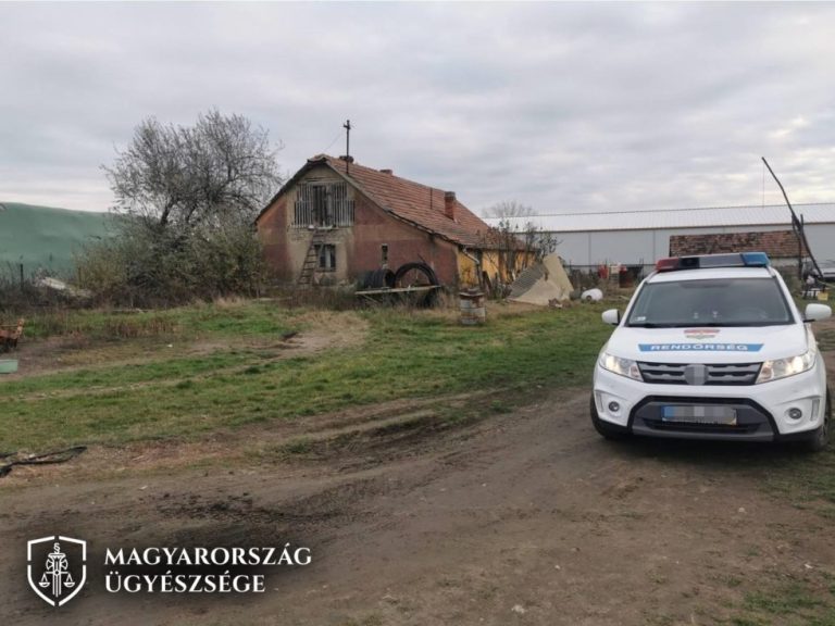 Sokat szenvedett a lelőtt kutya