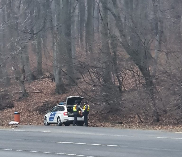 Mondunk három indokot, amiért lassítania kellene a Mecsek Pihenőnél