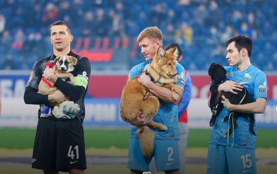 zenit