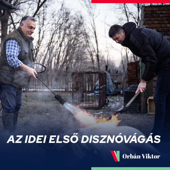 diszóvágás