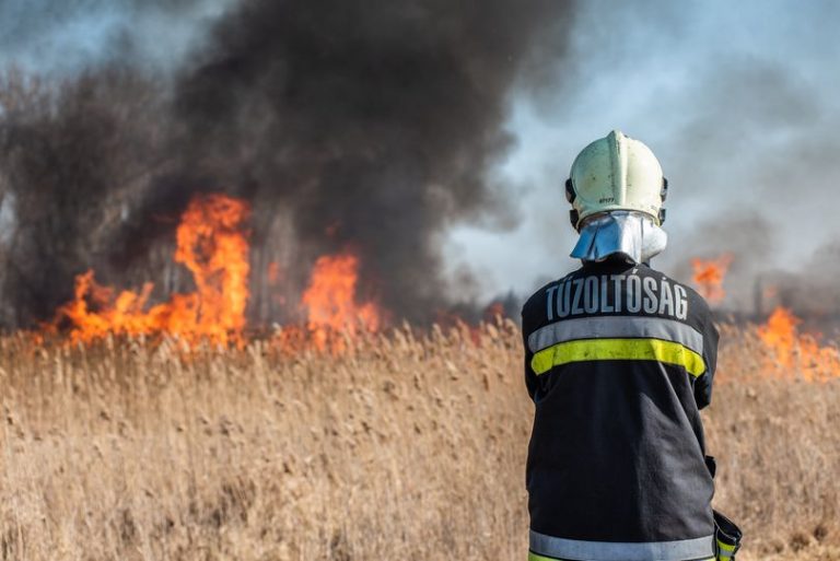 Teljes tűzgyújtási tilalom van az egész országban