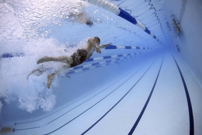 swimmers-g31285c750_1280