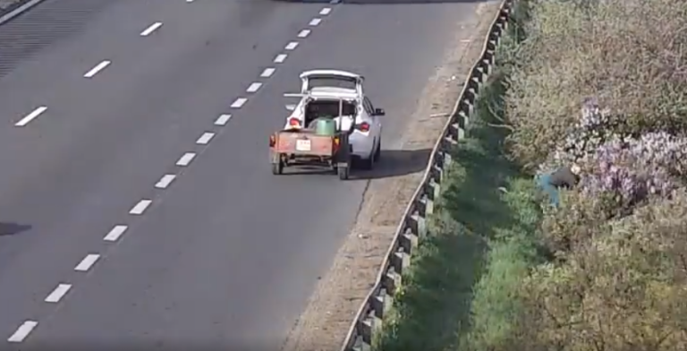 Orgonát szedni állt félre az M1-es autópályán egy férfi
