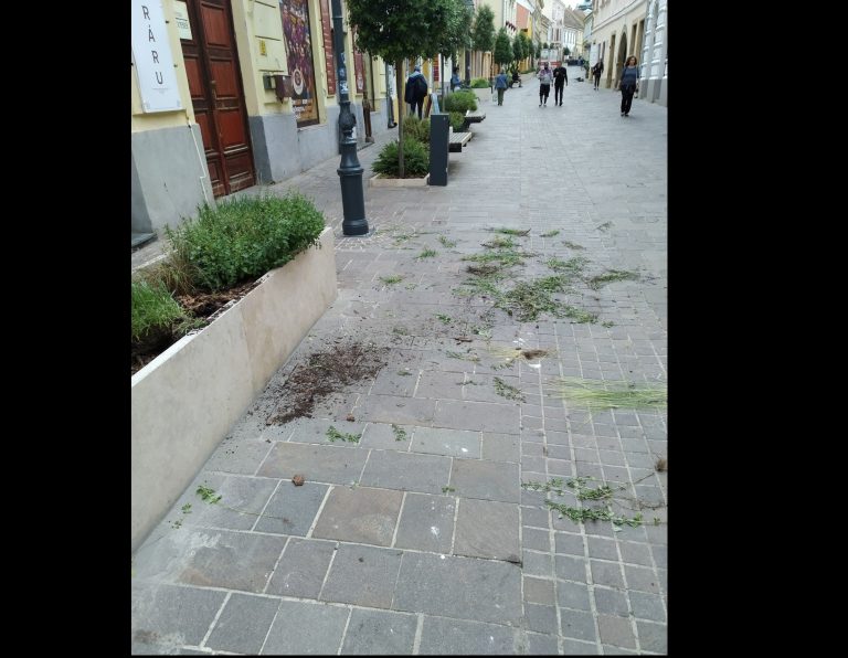 Megrongálták a Ferencesek utcájában a virágágyásokat