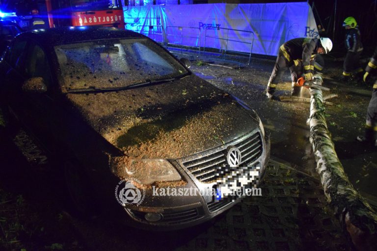 Képek: Baranyát sem kímélte a tegnapi vihar
