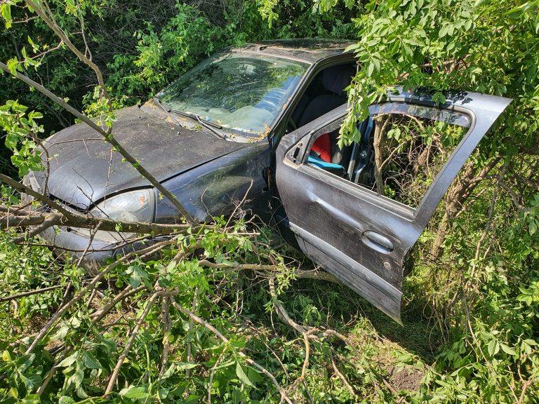 Elhunyt a fás-bokros területre behajtó autó sofőrje