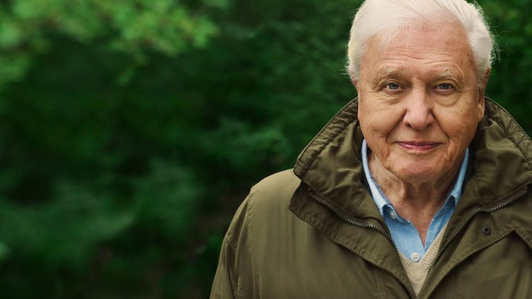 96 éves lett Sir David Attenborough