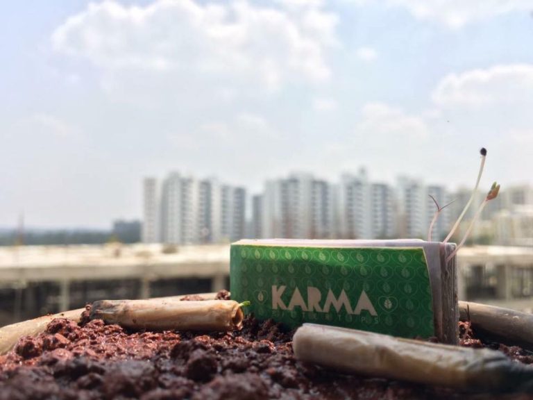 A dohányzás környezetkárosító hatásai és a bazsalikommá változó cigaretta
