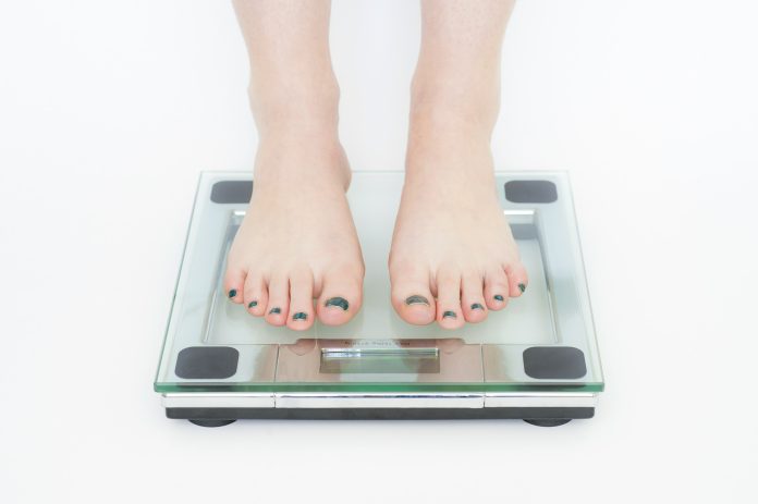 diet-g367653670_1920