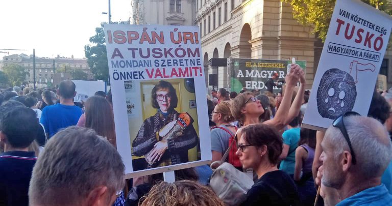Több ezer ember tüntetett a magyar erdők tarvágása ellen