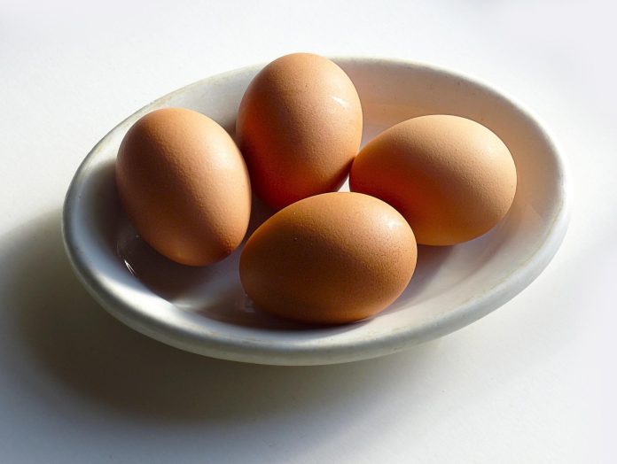 egg-g37bfcc2f5_1920