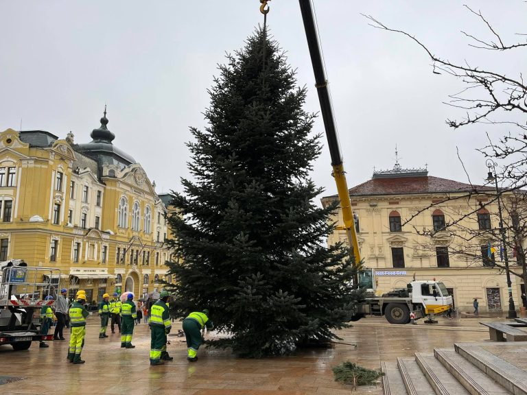 Megérkezett a város karácsonyfája!