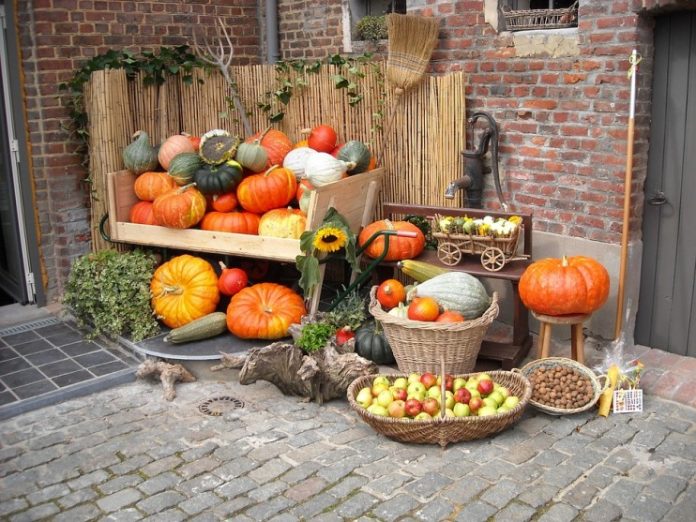 halloween tök