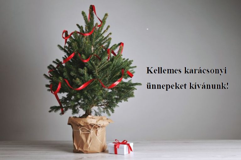 Az ünnepek után örökbe adhatók lesznek a földlabdás fenyők Pécsen