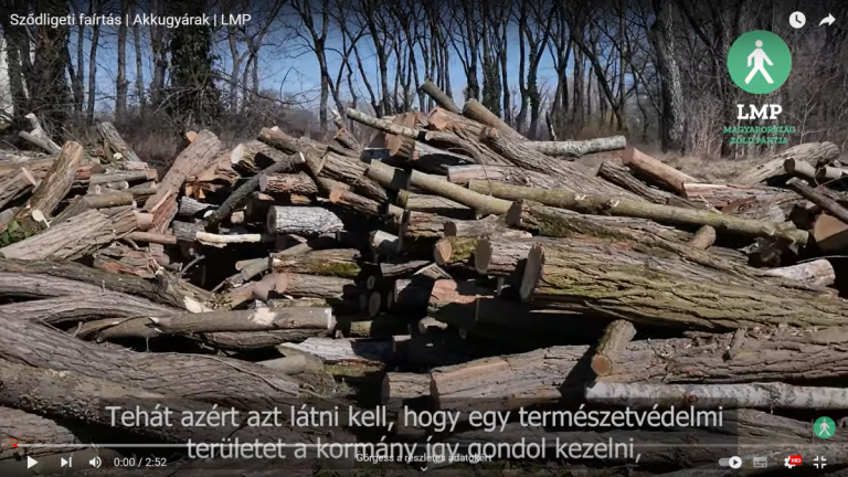 Így „védi meg” a kormány az erdőinket – videó