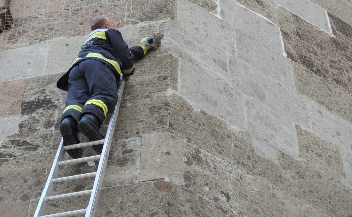 Tűzoltó ment madarat létráról (vércse)