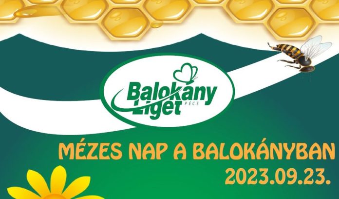 Balokány méz
