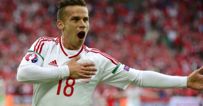 stieber