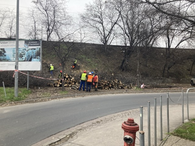 Tiltakoznak a természetvédők, szerintük a tarvágás lehetőségét bővítené a kormány