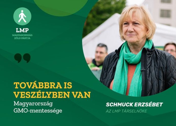 Schmuck Erzsébet