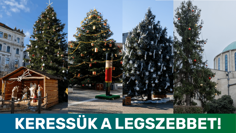 Keressük Baranya megye legszebb karácsonyfáját