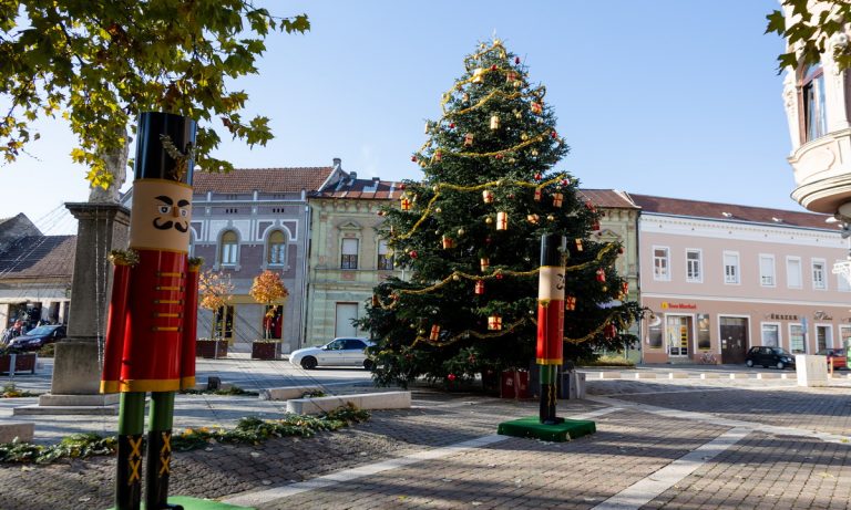 Az aszály ugyan megviselte őket, de lesz elég karácsonyfa az idén is
