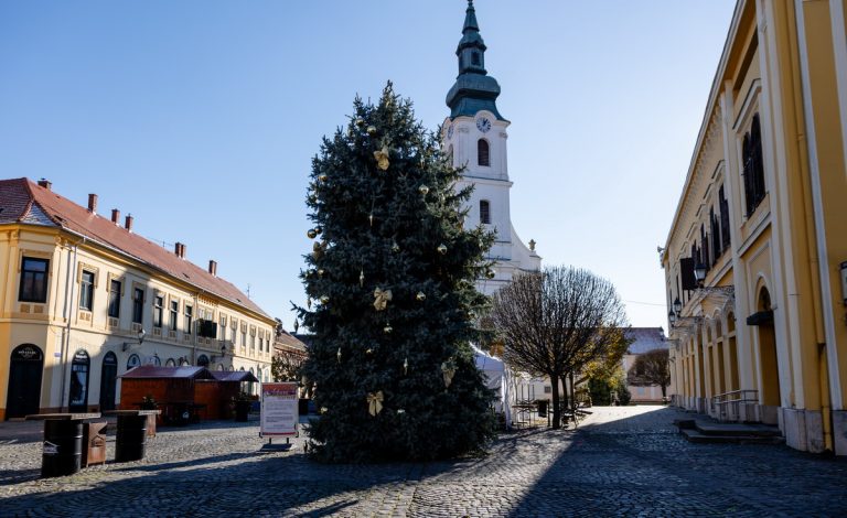 Rövid: elfogták a szigetvári Betlehem rongálóját