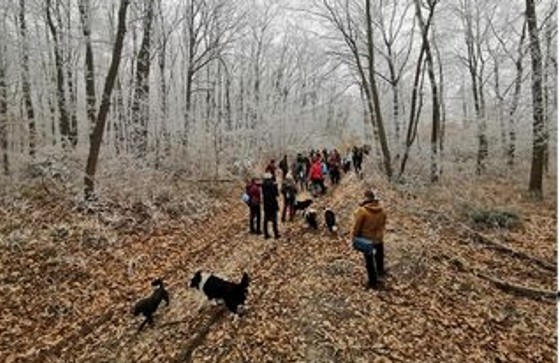 Januári kutya-gazdi túra a Mecsekben