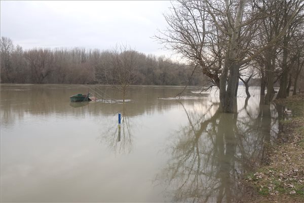 árvíz, Tisza