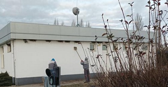 Kenderesen a MOL munkatársai fecskefészkeket vertek le, de minden szabályszerű volt
