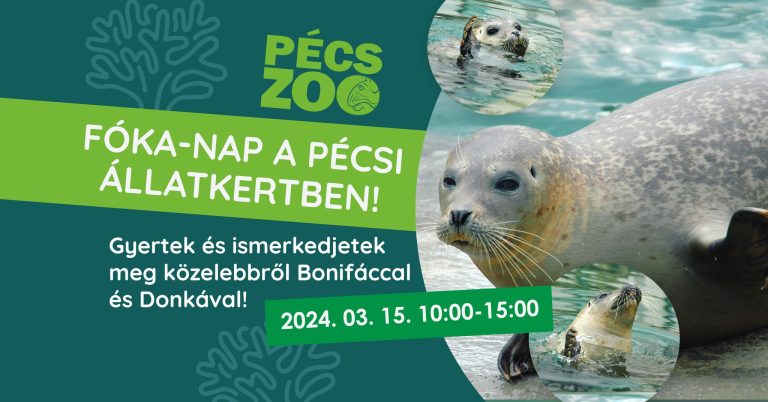 Megismerkedhetünk az állatkert fókáival március 15-én