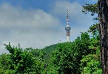 420 lépcsőfok vár a tűzoltókra a pécsi TV-toronyban