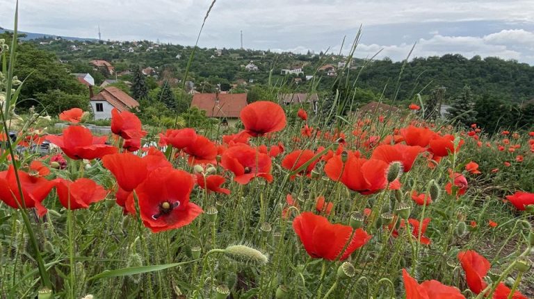 Fagyos reggel után hűvös lesz a délután Baranyában