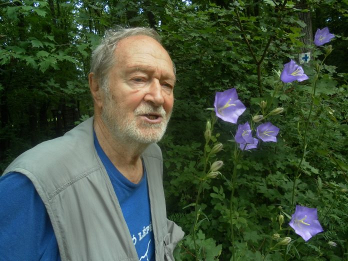 Juhász Árpád