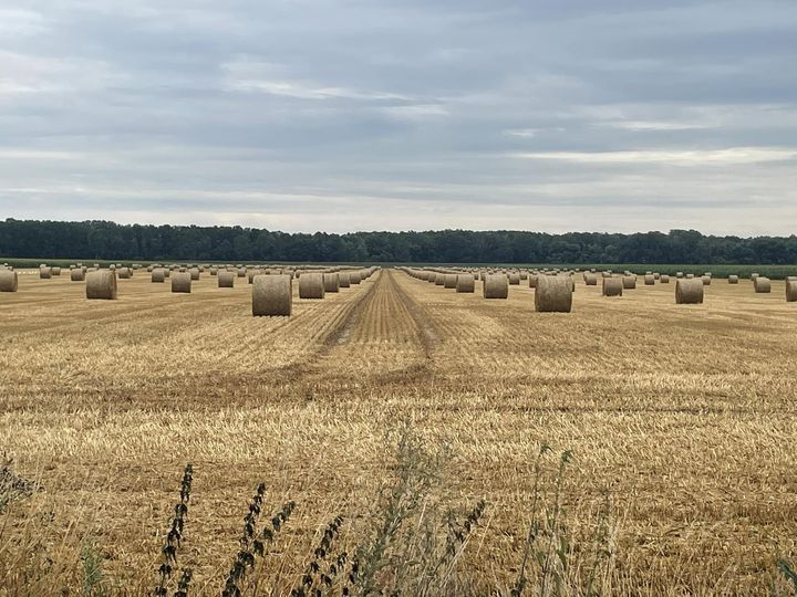 Melegszik a levegő, szombaton már 33 fok lesz Baranyában
