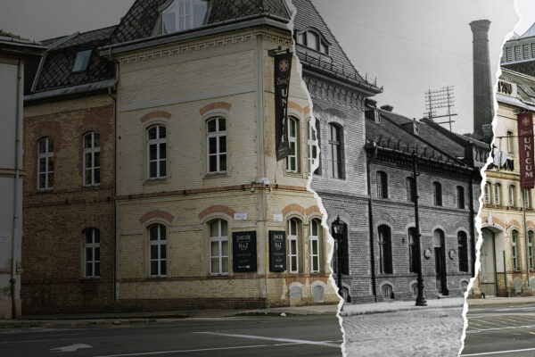 A Zwack növelte árbevételét