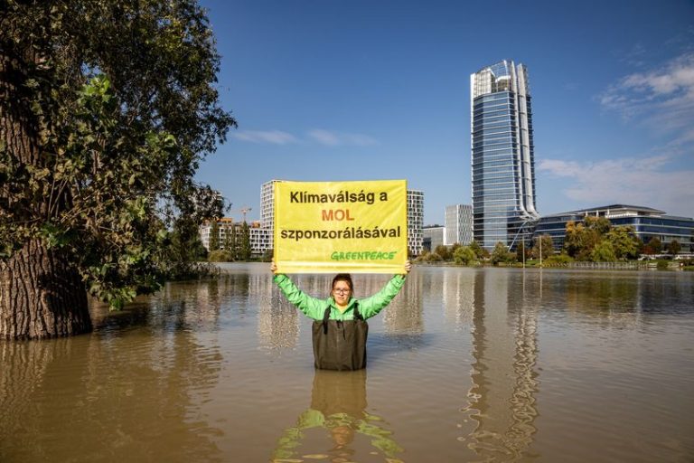 Greenpeace: a hatalmas profitra szert tevő cégeknek ki kell venniük a részüket a károk megtérítéséből