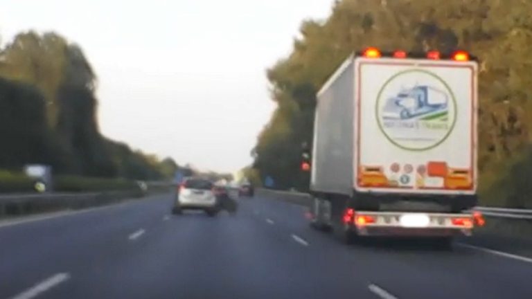 Videón, ahogy a vaddisznó az M7-esen nekirohan az autóknak  