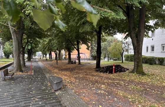 A pécsiek döntöttek, és megszépül a Szondi sétány
