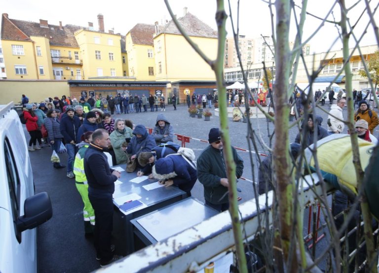 Pár óra alatt elfogytak a kiosztásra szánt mandulafák