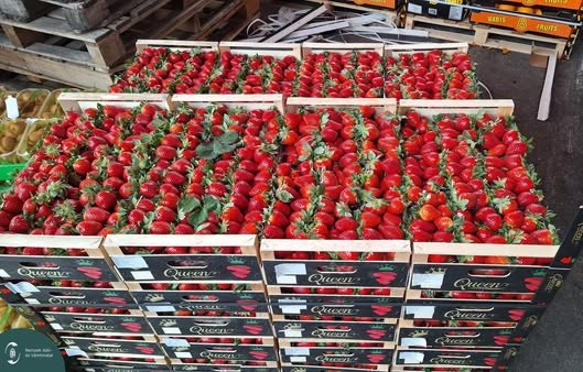 150 millió értékű gyümölcsöt adott el villámárverésen az adóhatóság
